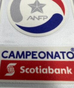 Parche Anfp Texturizado