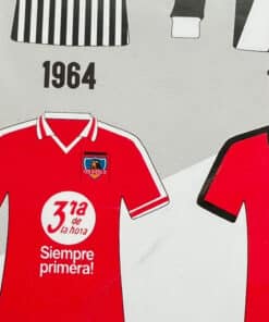 Cuadro Camisetas de Colo-Colo