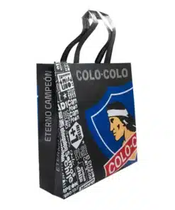 Alternative view of Bolsa Colo-Colo